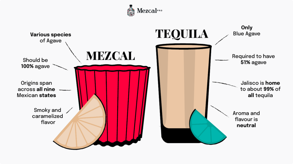 Mezcal vs Tequila: las diferencias que nadie te explica